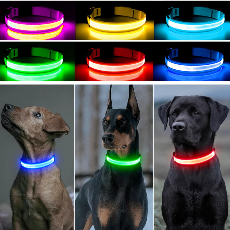 Collar luminoso recargable por USB para perros pequeños y grandes, Collar de seguridad para mascotas con luz nocturna y Led brillante ajustable