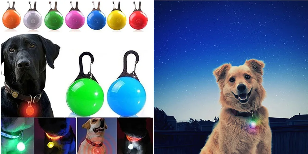 Collar luminoso recargable por USB para perros pequeños y grandes, Collar de seguridad para mascotas con luz nocturna y Led brillante ajustable