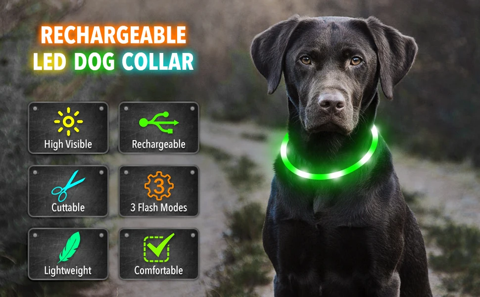 Collar luminoso recargable por USB para perros pequeños y grandes, Collar de seguridad para mascotas con luz nocturna y Led brillante ajustable