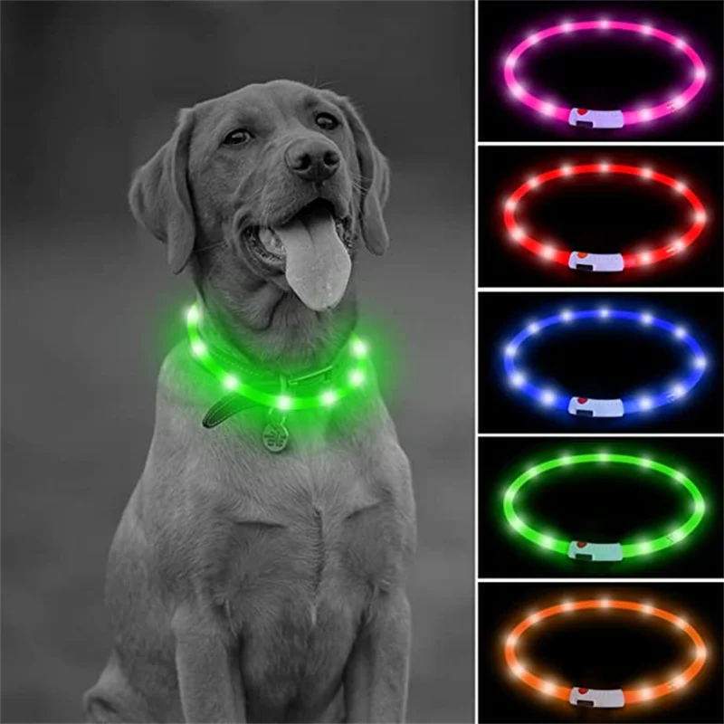 Collar luminoso recargable por USB para perros pequeños y grandes, Collar de seguridad para mascotas con luz nocturna y Led brillante ajustable