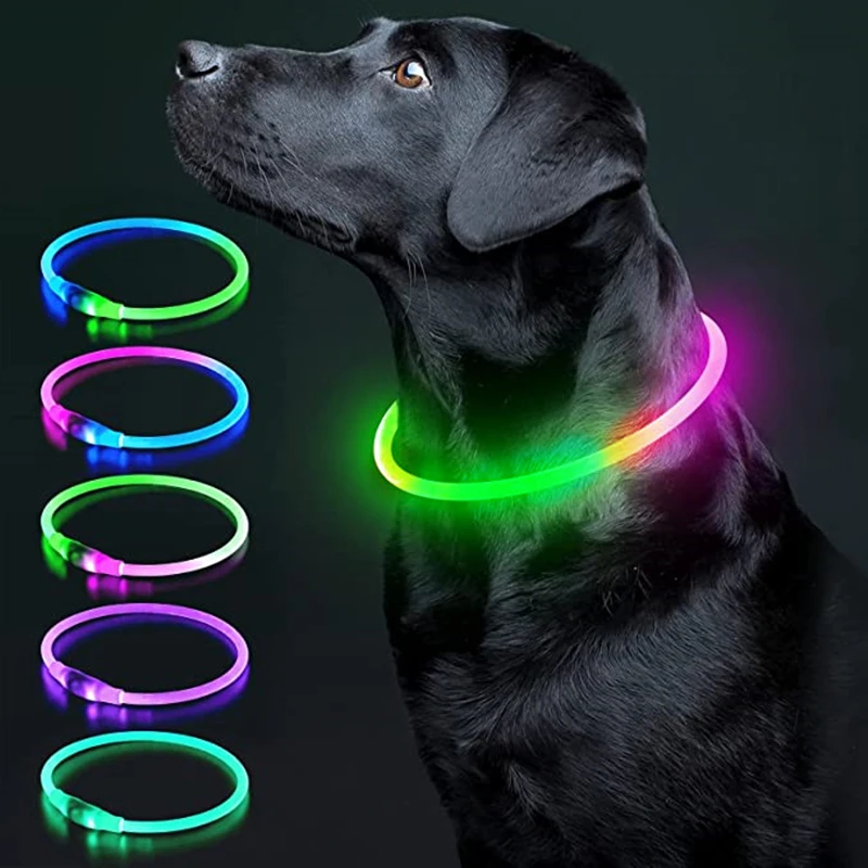 Collar luminoso recargable por USB para perros pequeños y grandes, Collar de seguridad para mascotas con luz nocturna y Led brillante ajustable