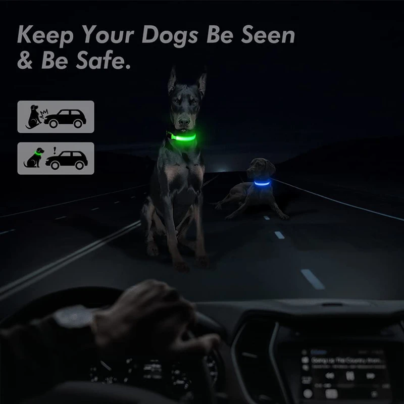 Collar luminoso recargable por USB para perros pequeños y grandes, Collar de seguridad para mascotas con luz nocturna y Led brillante ajustable