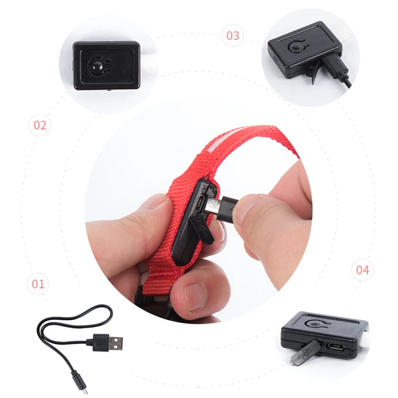 Collar luminoso recargable por USB para perros pequeños y grandes, Collar de seguridad para mascotas con luz nocturna y Led brillante ajustable