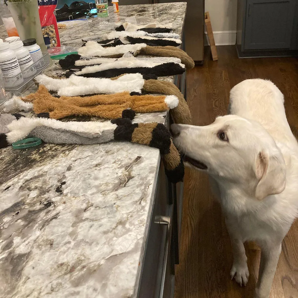 Animal simulado divertido, juguete para perros sin relleno con chirridos, juguete para masticar de perro chirriante de peluche duradero, juguete para chirrido para mascotas arrugado