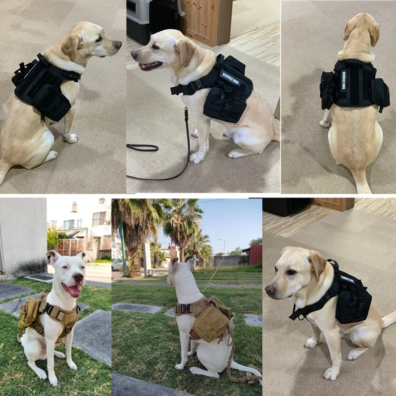 Chaleco militar táctico para mascotas pastor alemán Golden Retriever, juego de arnés y correa para perros de entrenamiento táctico para perros de todas las razas
